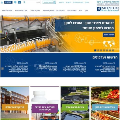 קידום אתר מילודע&מיגל